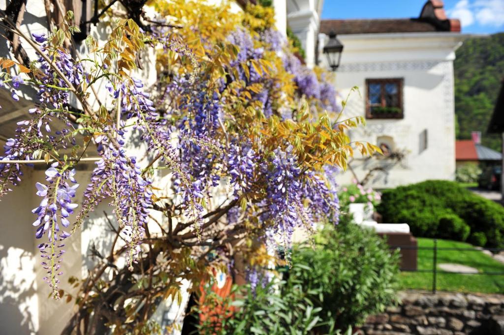 Renaissancehotel Raffelsberger Hof B&B Weissenkirchen in der Wachau Exterior photo